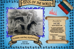 2019-dogs-sighthound-3733-hc0e-EN
