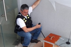 simulacro 5